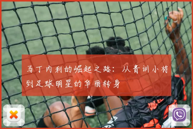 马丁内利的崛起之路：从青训小将到足球明星的华丽转身