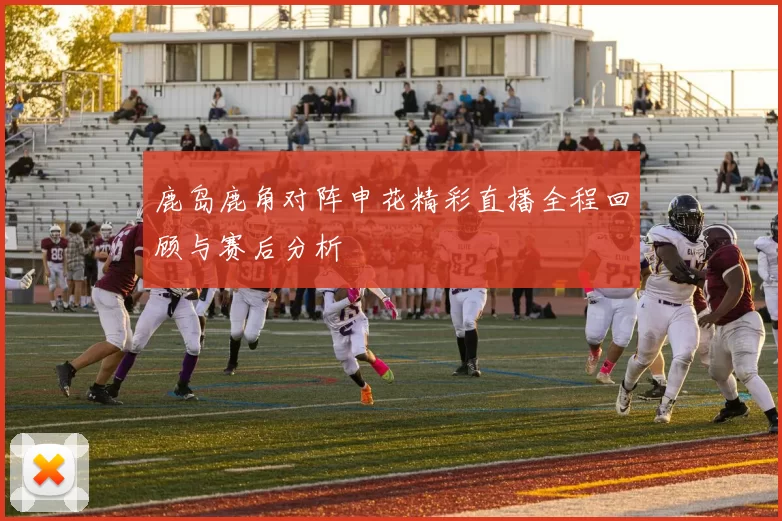 鹿岛鹿角对阵申花精彩直播全程回顾与赛后分析