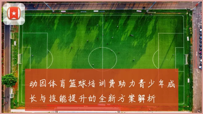 动因体育篮球培训费助力青少年成长与技能提升的全新方案解析