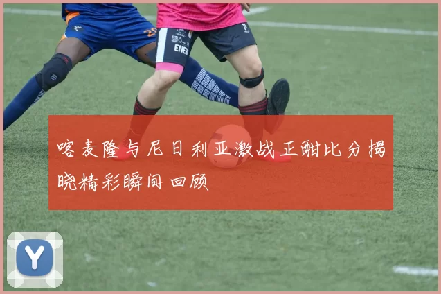 喀麦隆与尼日利亚激战正酣比分揭晓精彩瞬间回顾