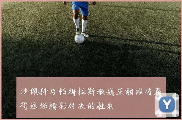 沙佩科与帕梅拉斯激战正酣谁将赢得这场精彩对决的胜利