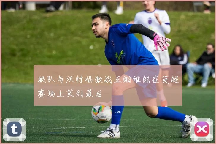 狼队与沃特福激战正酣谁能在英超赛场上笑到最后