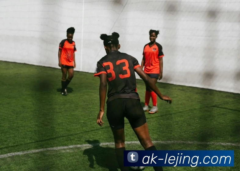 数据防护可视化